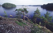 Linnansaari